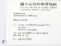 顯絲菌屬藏品圖，第2張