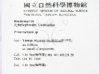 顯絲菌屬藏品圖，第2張