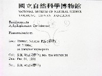顯絲菌屬藏品圖，第2張