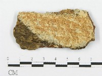 登錄號:F0014854藏品圖，第1張