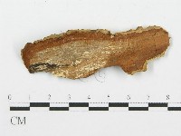 登錄號:F0014858藏品圖，第3張