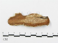 登錄號:F0014858藏品圖，第4張