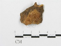 登錄號:F0014859藏品圖，第1張