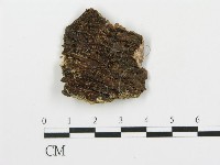 登錄號:F0014860藏品圖，第3張