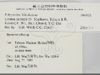 登錄號:F0014861藏品圖，第2張