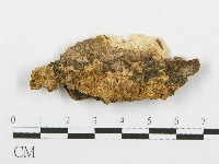 登錄號:F0014861藏品圖，第1張