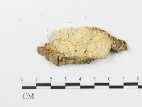 登錄號:F0014861藏品圖，第3張