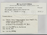 登錄號:F0014862藏品圖，第2張