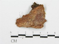 登錄號:F0014862藏品圖，第3張