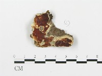 登錄號:F0014862藏品圖，第4張