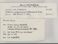 登錄號:F0014863藏品圖，第2張