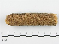 登錄號:F0014863藏品圖，第1張