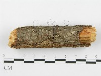 登錄號:F0014863藏品圖，第3張