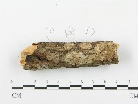 登錄號:F0014863藏品圖，第4張