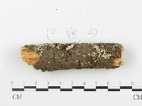 登錄號:F0014863藏品圖，第5張