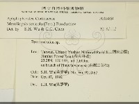 登錄號:F0014864藏品圖，第2張