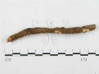 登錄號:F0014864藏品圖，第4張