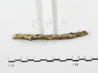 登錄號:F0014864藏品圖，第5張