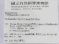 登錄號:F0014865藏品圖，第2張