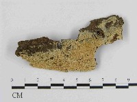 登錄號:F0014866藏品圖，第1張