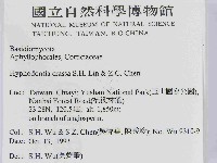 登錄號:F0014867藏品圖，第2張