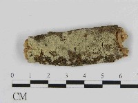 登錄號:F0014867藏品圖，第1張