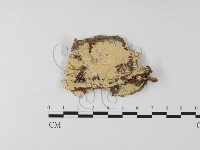 登錄號:F0014868藏品圖，第1張