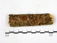 登錄號:F0014869藏品圖，第1張