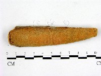 顯絲菌屬藏品圖，第1張