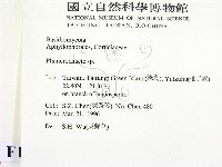 顯絲菌屬藏品圖，第2張