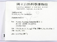 顯絲菌屬藏品圖，第2張