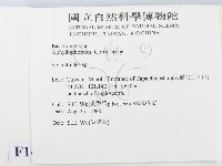銳岩菌屬藏品圖，第2張