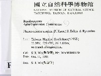 登錄號:F0014899藏品圖，第2張