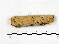 登錄號:F0014899藏品圖，第1張