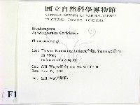 顯絲菌屬藏品圖，第2張