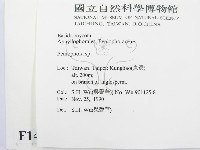 筍殼菌屬藏品圖，第2張