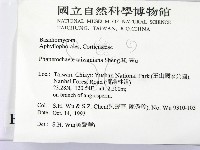登錄號:F0014905藏品圖，第2張