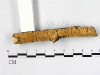 登錄號:F0014905藏品圖，第1張