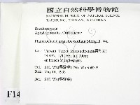 登錄號:F0014906藏品圖，第2張