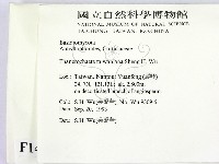 登錄號:F0014907藏品圖，第2張
