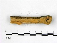 登錄號:F0014907藏品圖，第1張