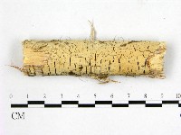 登錄號:F0014908藏品圖，第1張