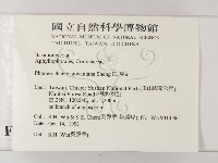 登錄號:F0014909藏品圖，第2張