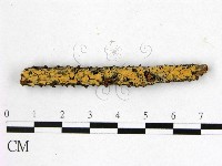 登錄號:F0014910藏品圖，第1張