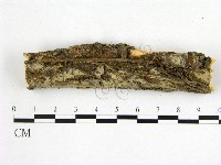 登錄號:F0014913藏品圖，第1張