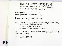 登錄號:F0014914藏品圖，第2張