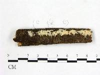 登錄號:F0014914藏品圖，第1張