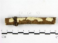 登錄號:F0014916藏品圖，第1張