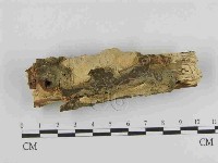 登錄號:F0014917藏品圖，第1張
