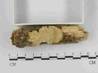 登錄號:F0014917藏品圖，第3張